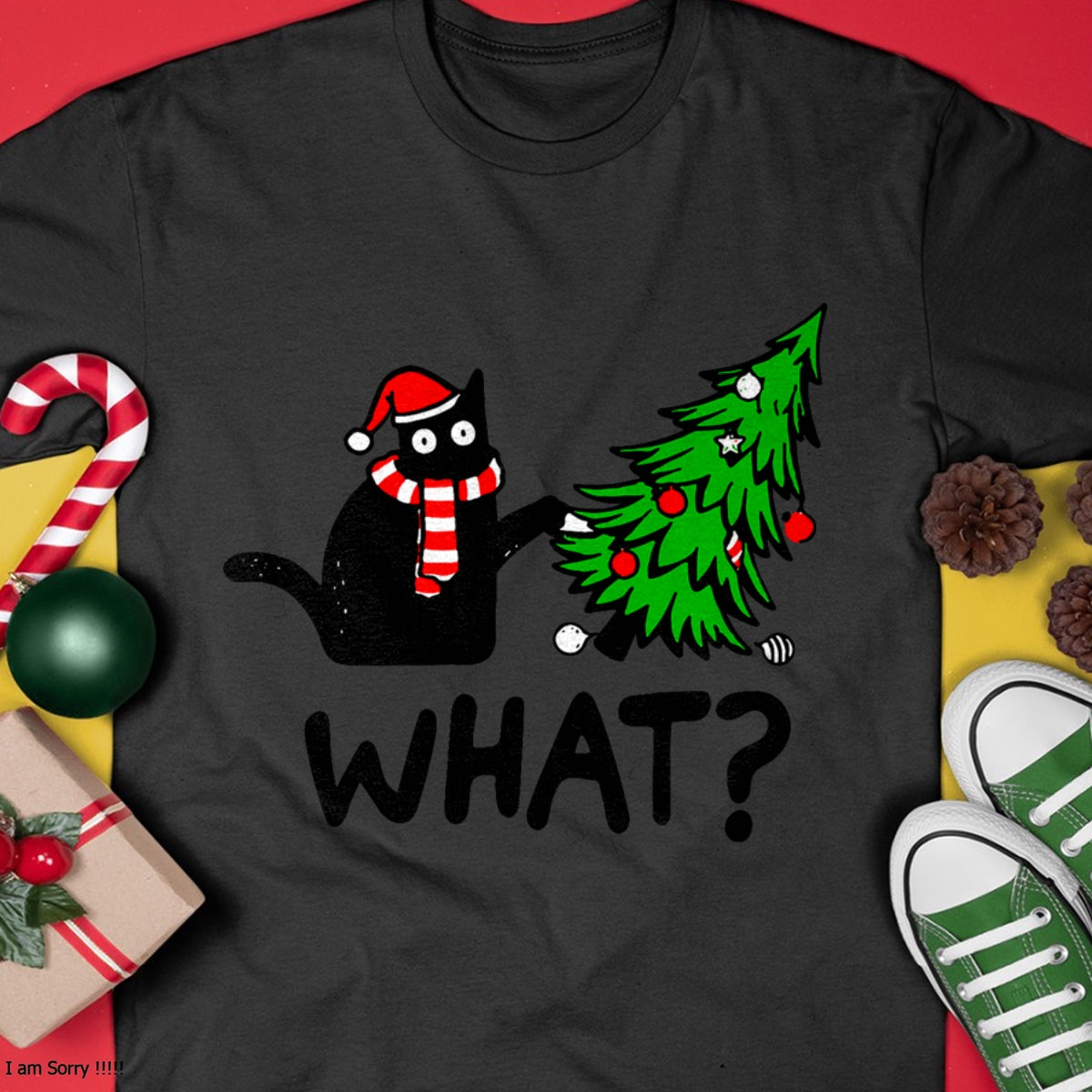 05.jpg