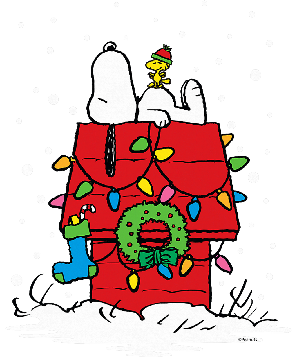 Peanuts Holiday Snoopy and Woodstock Stocking T-Shirt.png