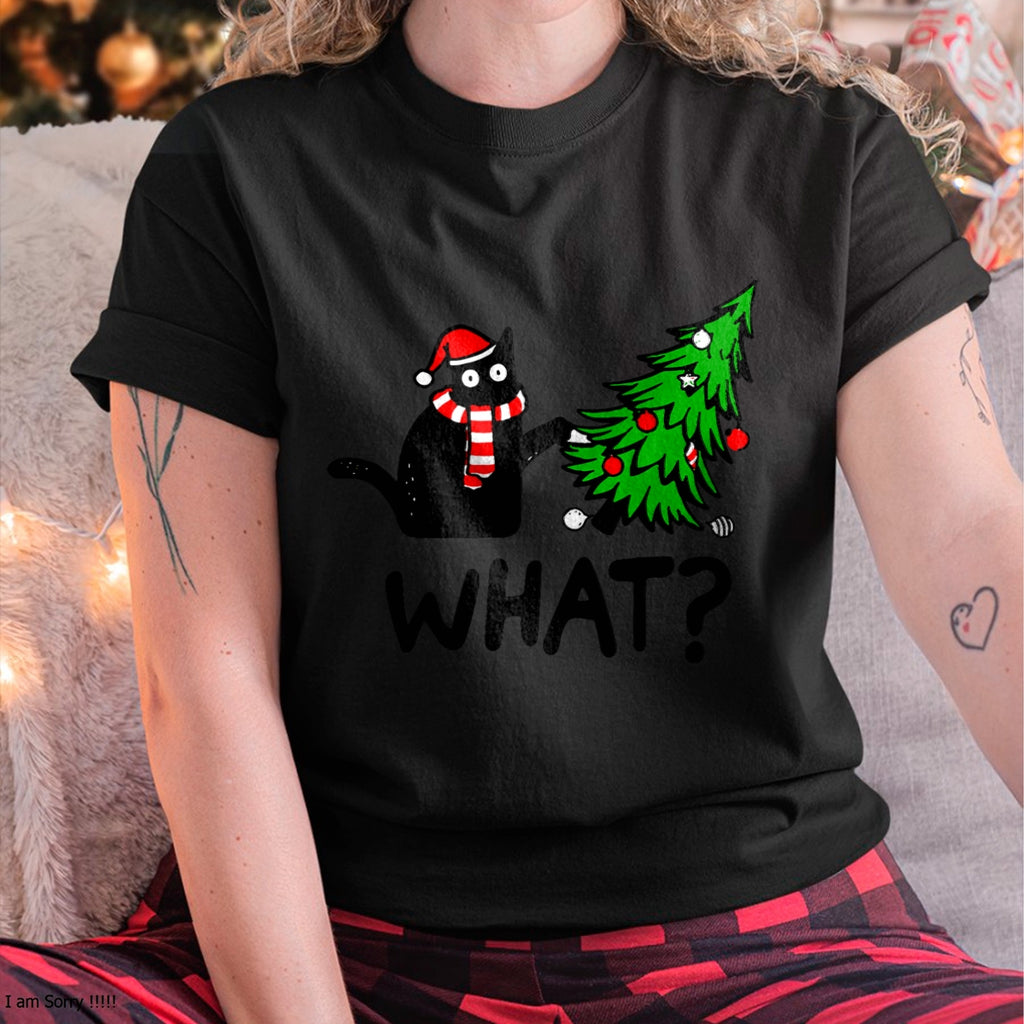 a1.jpg
