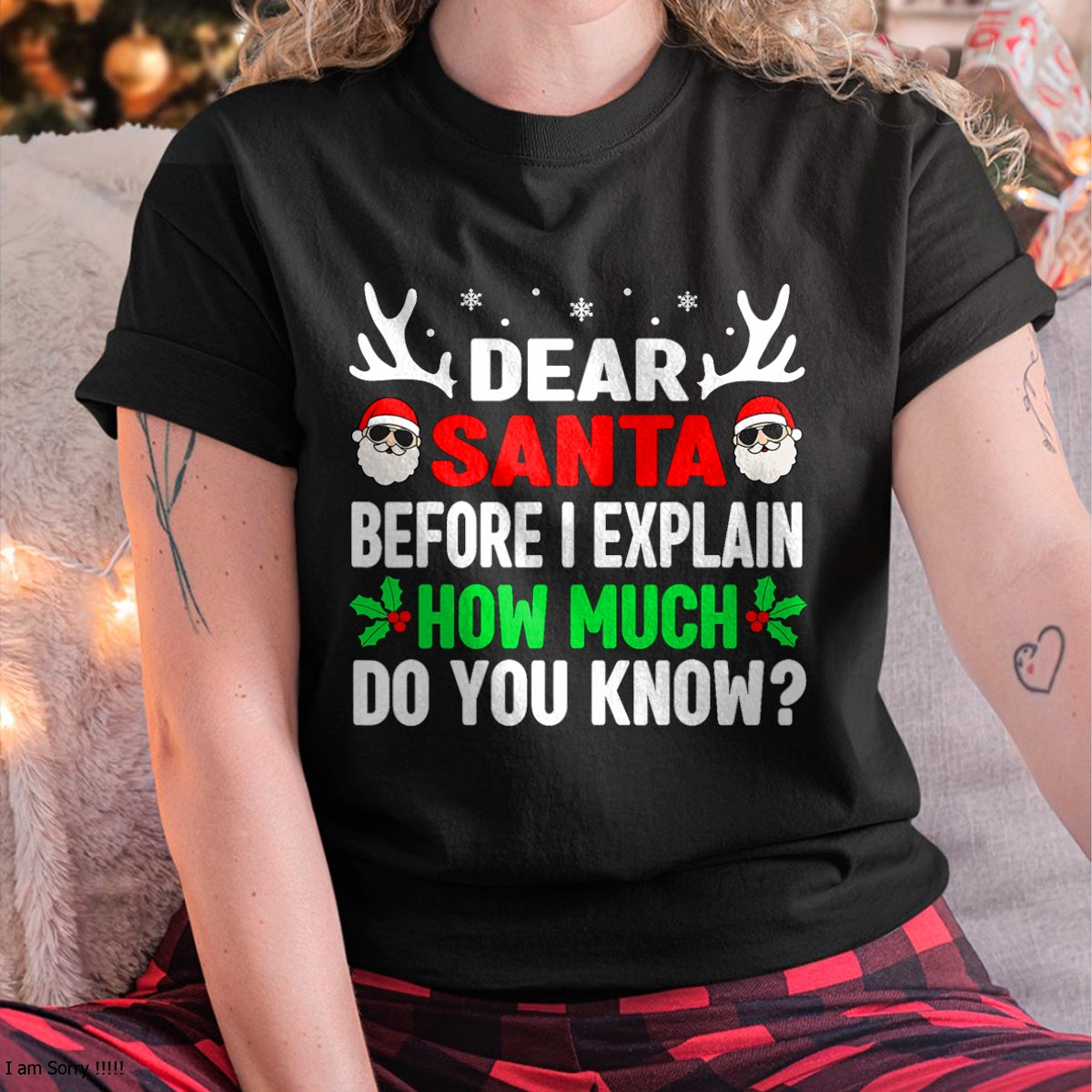 a1.jpg