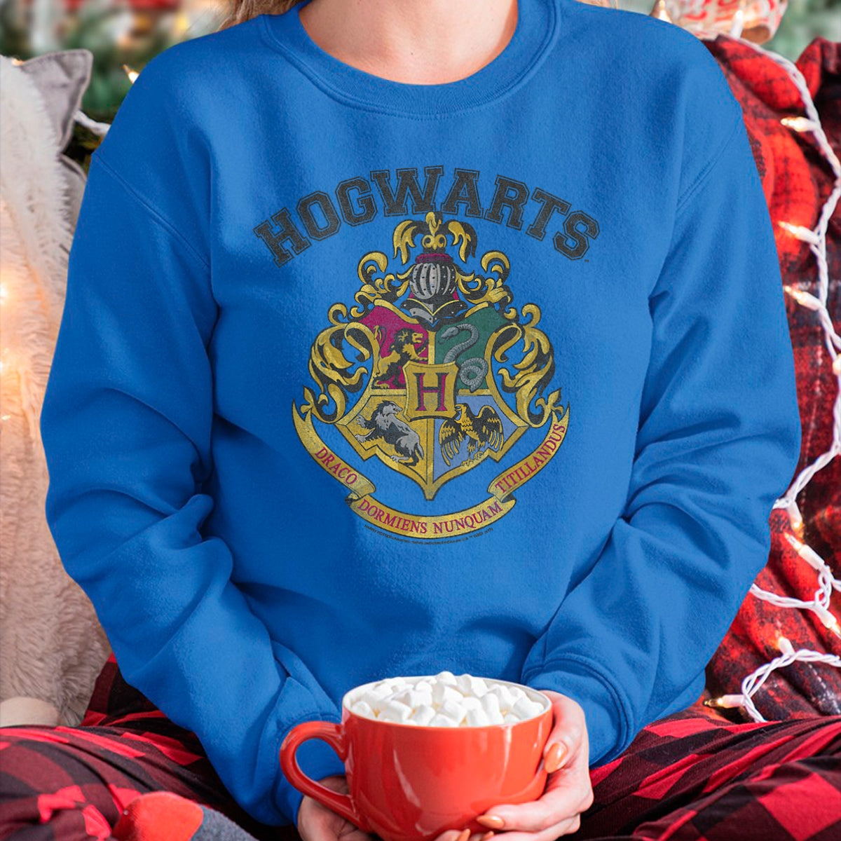 c1.jpg